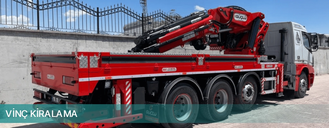 Tire İlçemi Vinç Kiralama